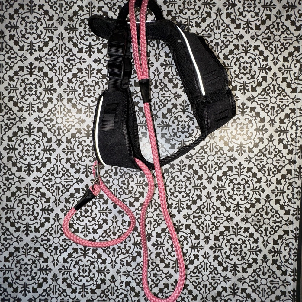 Medium Dog Harness Pink Braided Rope Leash Adjustable Pet Walking Set